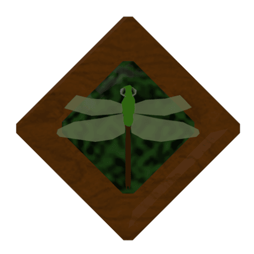 Dragonfly gem