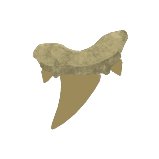 Sharkra gem