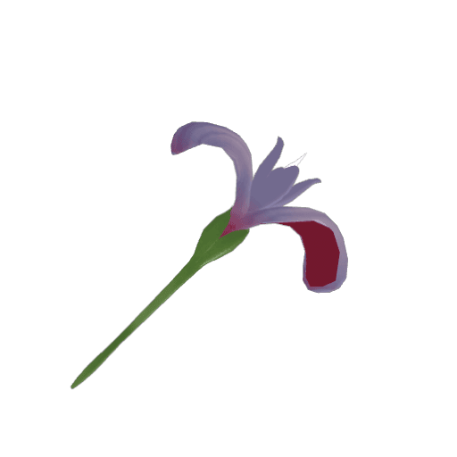 Iriscense hammer